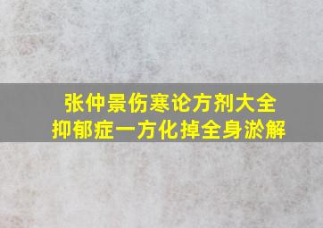 张仲景伤寒论方剂大全抑郁症一方化掉全身淤解