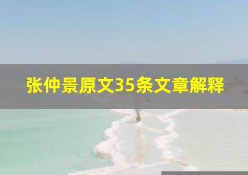 张仲景原文35条文章解释