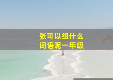 张可以组什么词语呢一年级