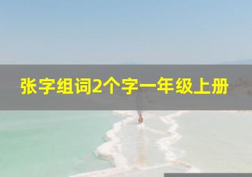 张字组词2个字一年级上册