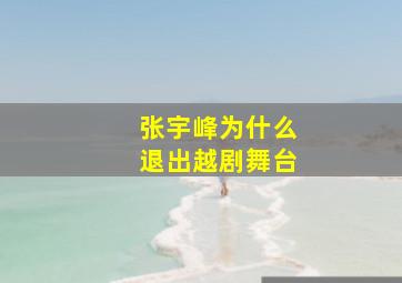 张宇峰为什么退出越剧舞台