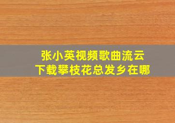 张小英视频歌曲流云下载攀枝花总发乡在哪