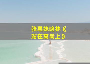 张惠妹哈林《站在高岗上》