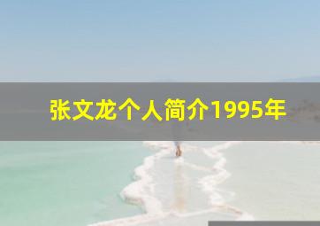 张文龙个人简介1995年