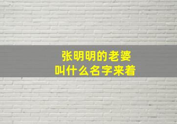 张明明的老婆叫什么名字来着