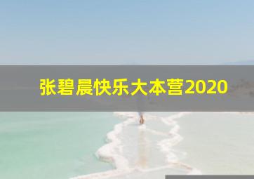 张碧晨快乐大本营2020