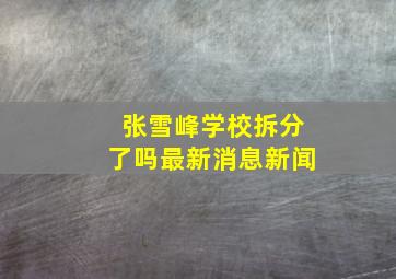 张雪峰学校拆分了吗最新消息新闻