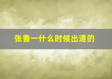 张鲁一什么时候出道的