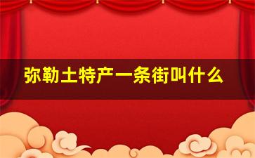 弥勒土特产一条街叫什么