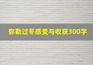 弥勒过冬感受与收获300字