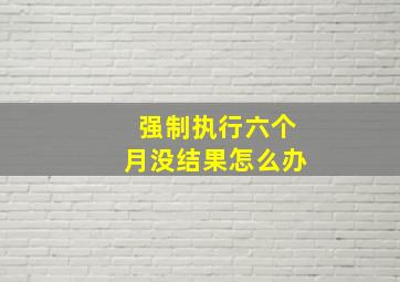 强制执行六个月没结果怎么办