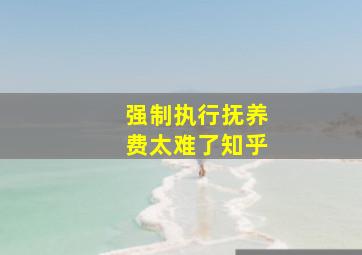 强制执行抚养费太难了知乎