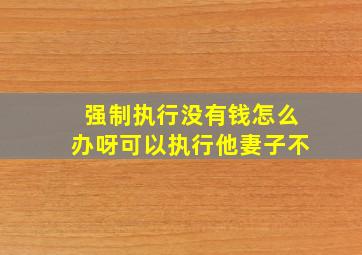 强制执行没有钱怎么办呀可以执行他妻子不