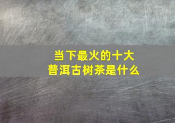 当下最火的十大普洱古树茶是什么