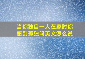 当你独自一人在家时你感到孤独吗英文怎么说