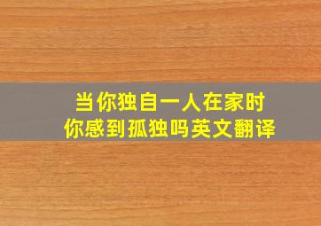 当你独自一人在家时你感到孤独吗英文翻译