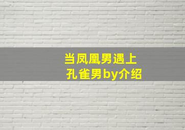 当凤凰男遇上孔雀男by介绍