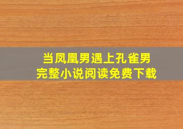 当凤凰男遇上孔雀男完整小说阅读免费下载