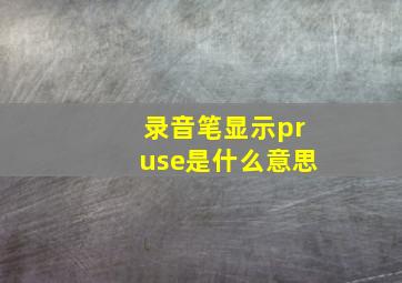 录音笔显示pruse是什么意思