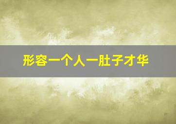 形容一个人一肚子才华