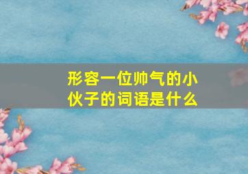 形容一位帅气的小伙子的词语是什么