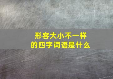 形容大小不一样的四字词语是什么