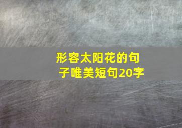 形容太阳花的句子唯美短句20字