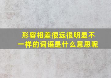 形容相差很远很明显不一样的词语是什么意思呢