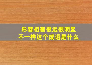 形容相差很远很明显不一样这个成语是什么