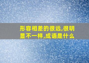 形容相差的很远,很明显不一样,成语是什么