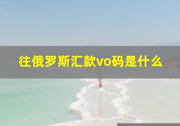 往俄罗斯汇款vo码是什么