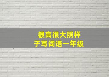 很高很大照样子写词语一年级