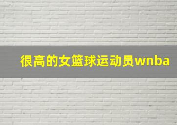 很高的女篮球运动员wnba