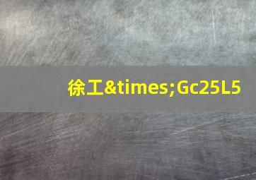 徐工×Gc25L5