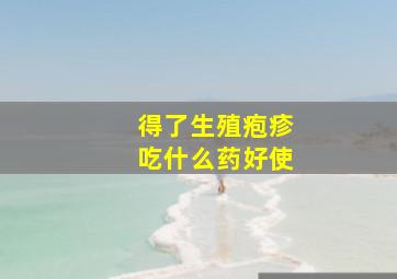 得了生殖疱疹吃什么药好使