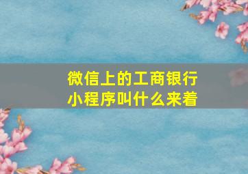 微信上的工商银行小程序叫什么来着