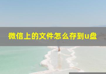 微信上的文件怎么存到u盘