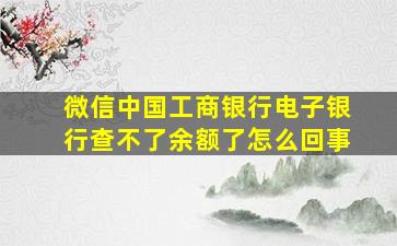 微信中国工商银行电子银行查不了余额了怎么回事