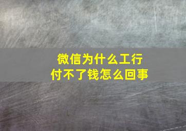 微信为什么工行付不了钱怎么回事