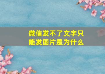 微信发不了文字只能发图片是为什么