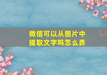 微信可以从图片中提取文字吗怎么弄