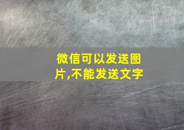 微信可以发送图片,不能发送文字