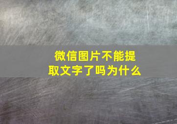 微信图片不能提取文字了吗为什么