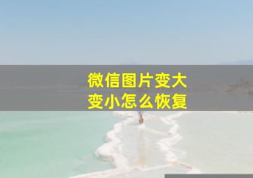 微信图片变大变小怎么恢复