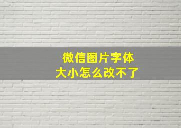 微信图片字体大小怎么改不了