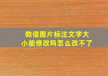 微信图片标注文字大小能修改吗怎么改不了