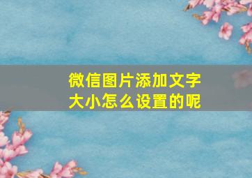 微信图片添加文字大小怎么设置的呢