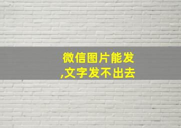 微信图片能发,文字发不出去