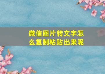 微信图片转文字怎么复制粘贴出来呢