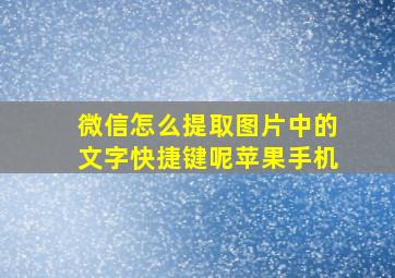 微信怎么提取图片中的文字快捷键呢苹果手机